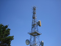 Sa trebina longa Antenna
