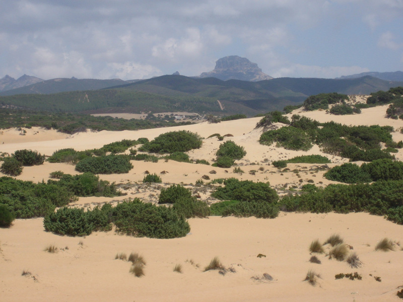 Piscinas dune 06