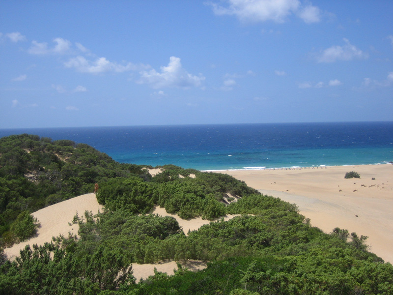 Piscinas le dune 16
