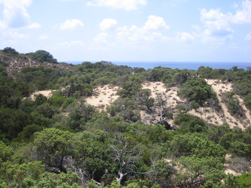 Piscinas le dune 17