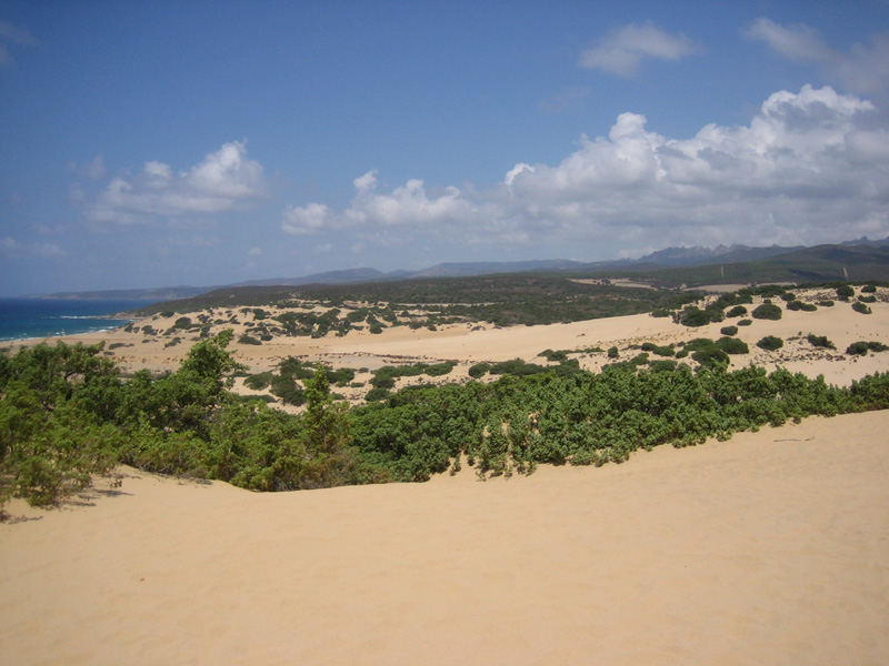 Piscinas le dune 20