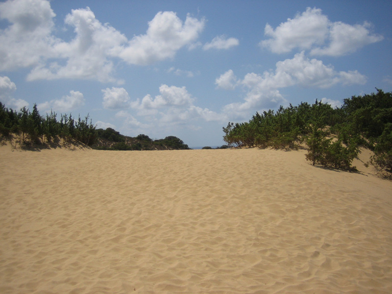 Piscinas le dune 23
